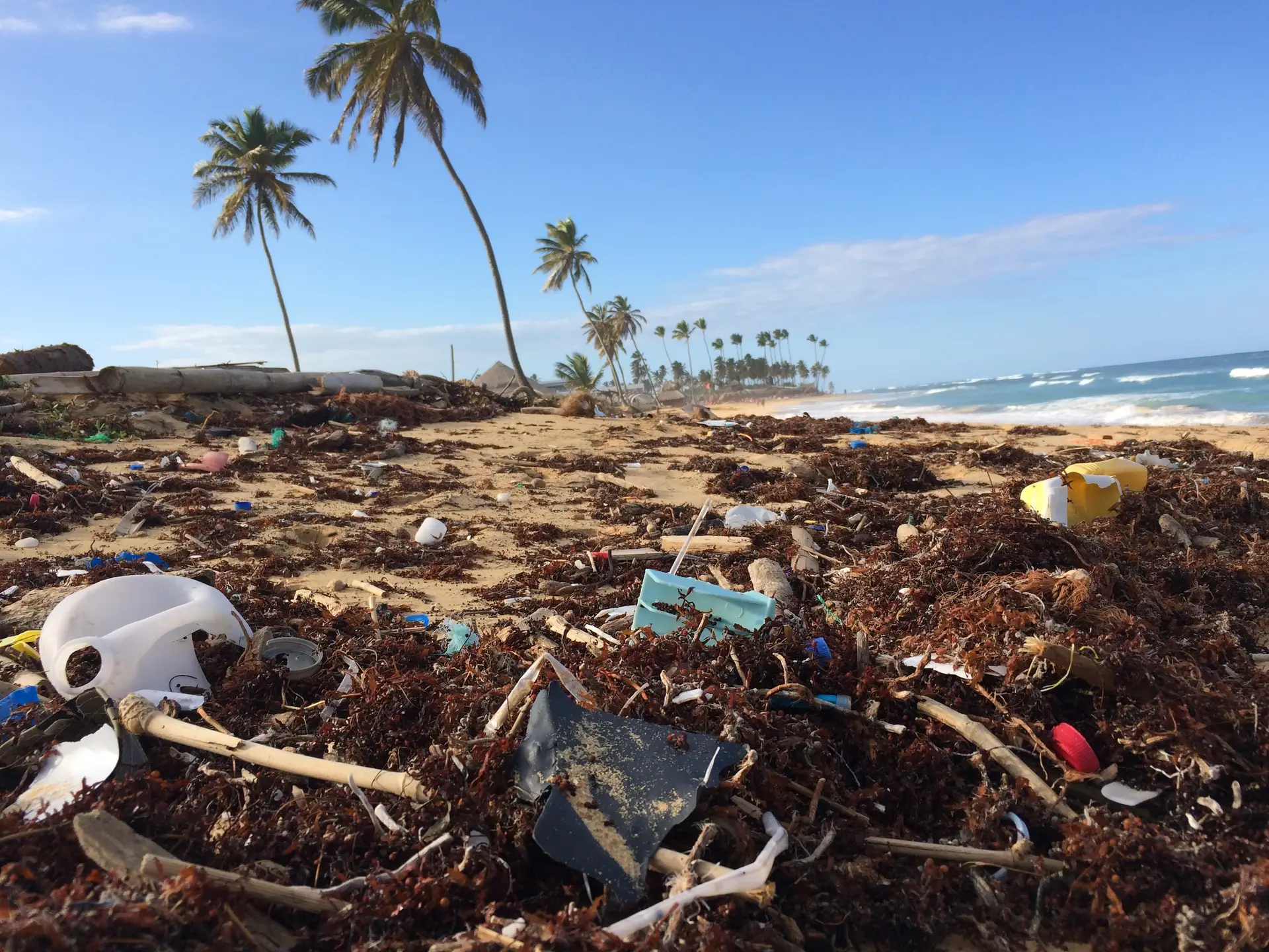 A detailed look at plastic plastic on a beach